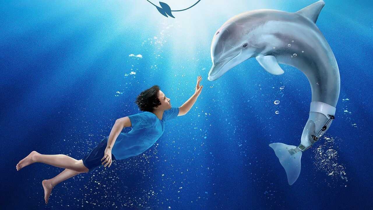 Dolphin Tale 0