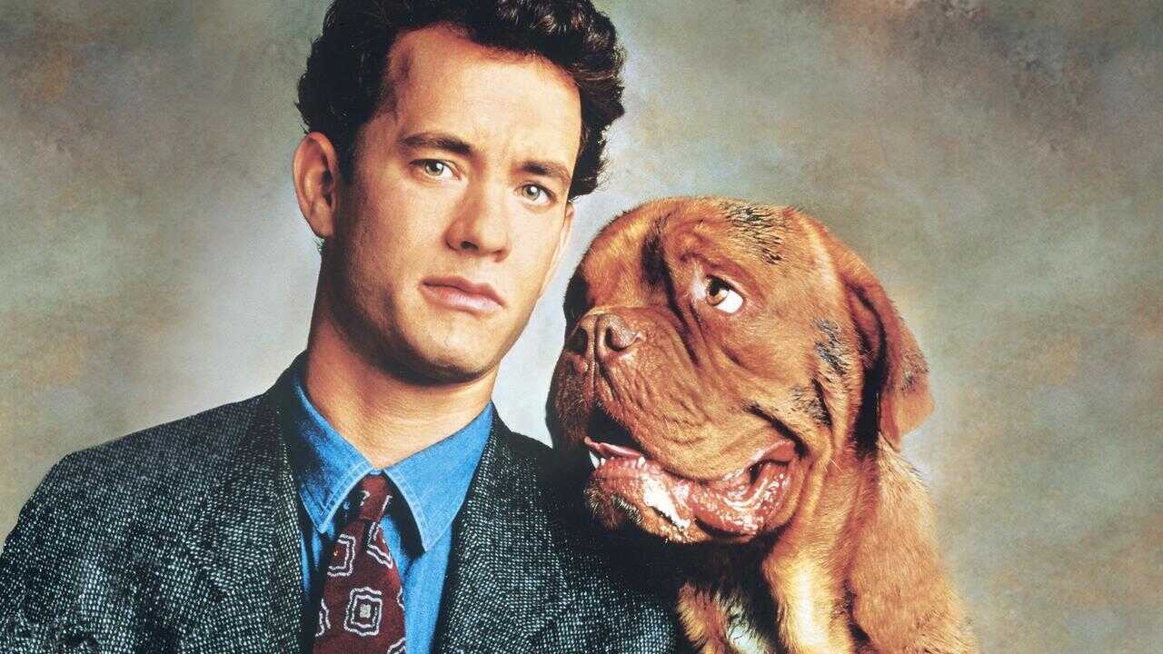 Turner & Hooch 0