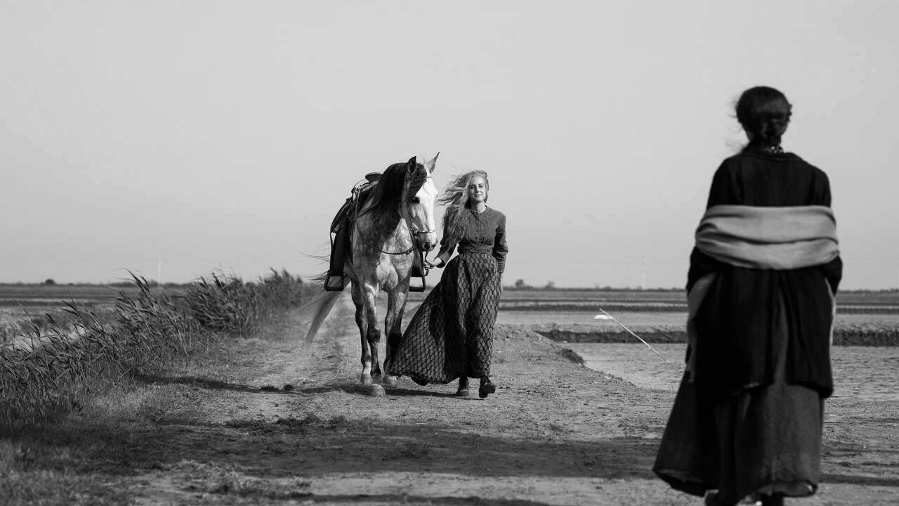 Elisa y Marcela (2019) 0