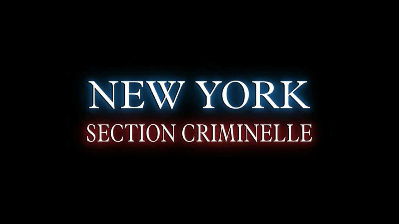New York Section Criminelle (2001) FR 4