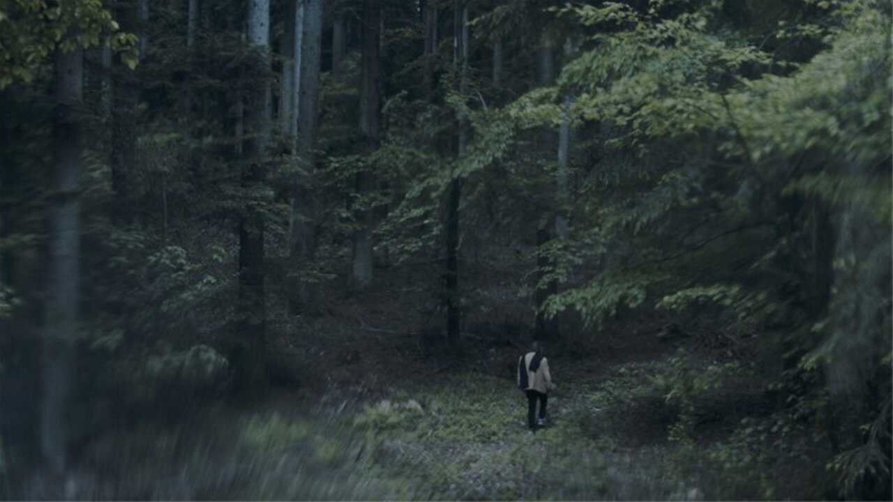 The Luminous View 0