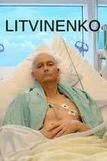 EN - Litvinenko (2022) 8