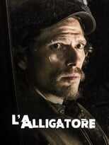 L'alligatore 8