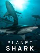 EN - Planet Shark (2022) 8