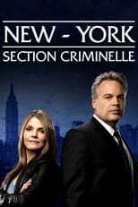 New York : Section criminelle 8