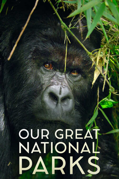 |TR| Our Great National Parks 8
