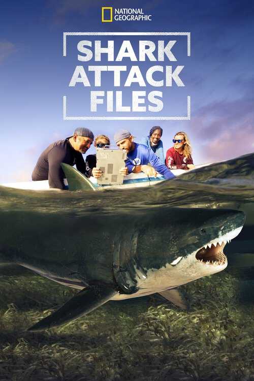 |EN| Shark Attack Files 8