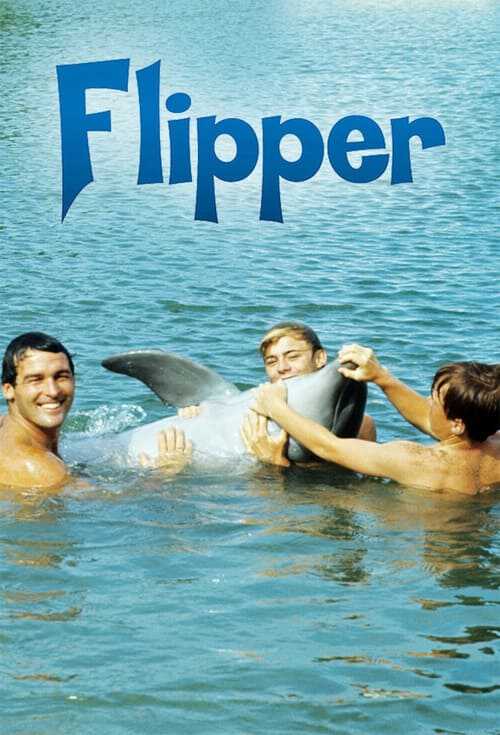 |EN| Flipper 8