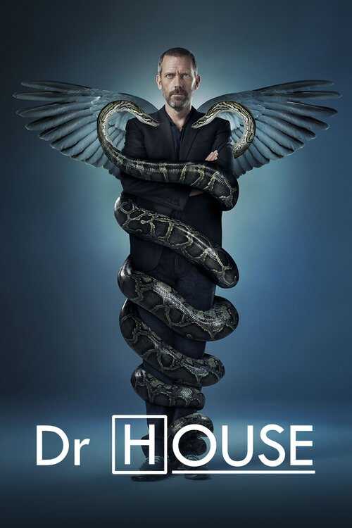 |FR| Dr House 8