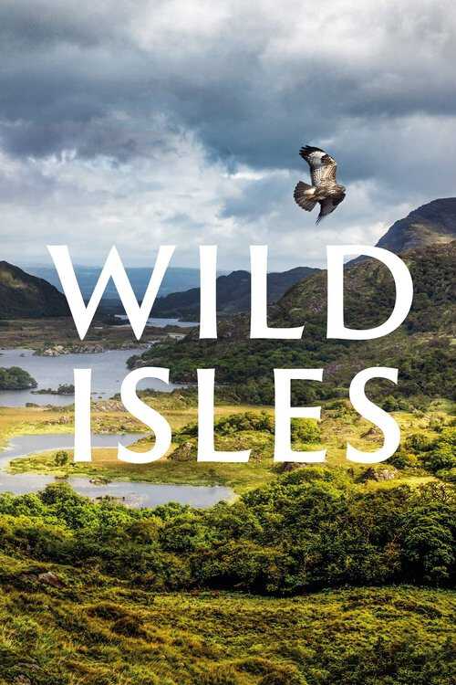 |EN| Wild Isles 8