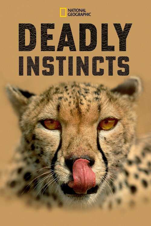 |NL| Deadly Instincts 8