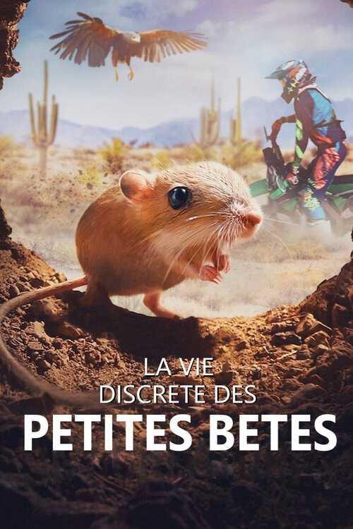 |FR| La vie discrète des petites bêtes 8