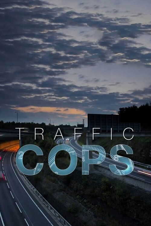 |NL| Traffic Cops 8