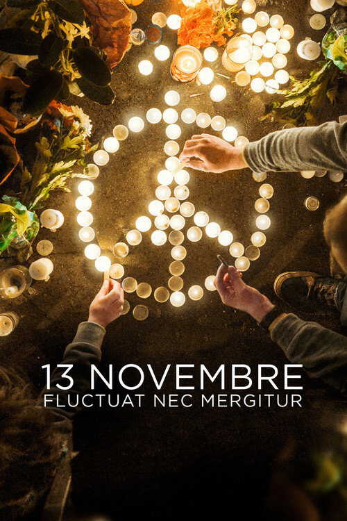 |NL| 13 novembre : Fluctuat nec mergitur 8