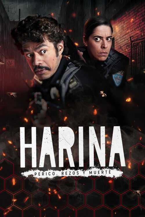 |AR| Harina 8