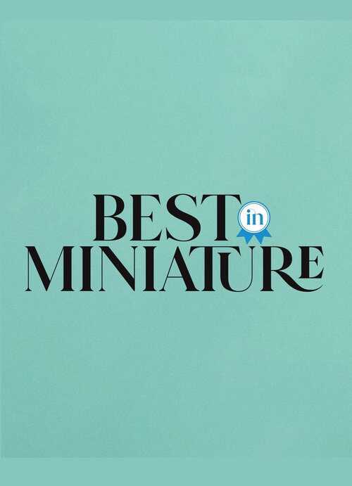 |EN| Best In Miniature 8