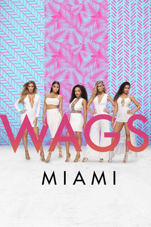 |EN| WAGS Miami 8