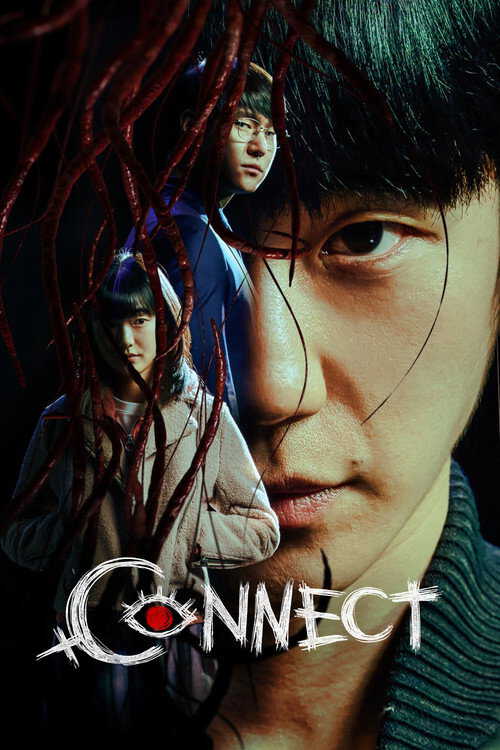 |AR| Connect 8