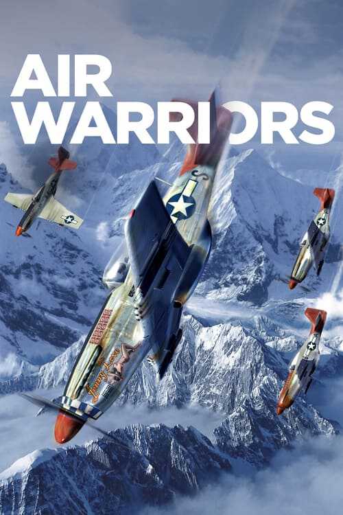 |EN| Air Warriors 8