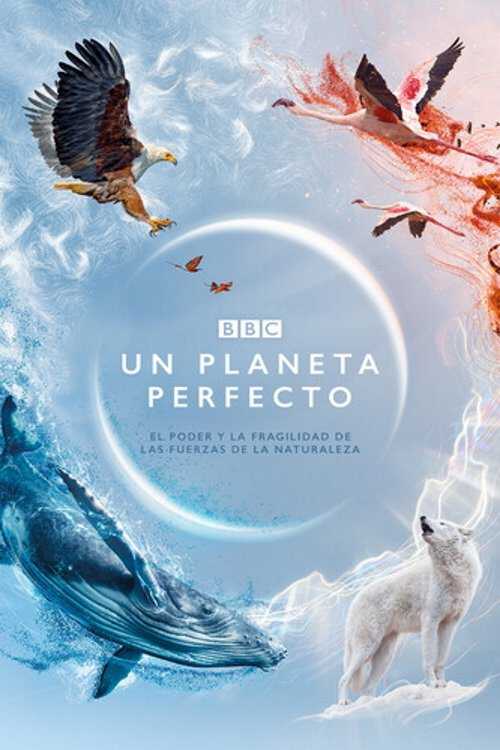 |ES| Un planeta perfecto 8