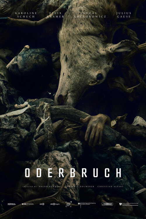 |RU| Oderbruch 8