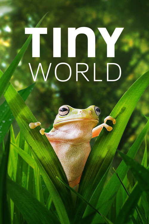|IT| Tiny World 8