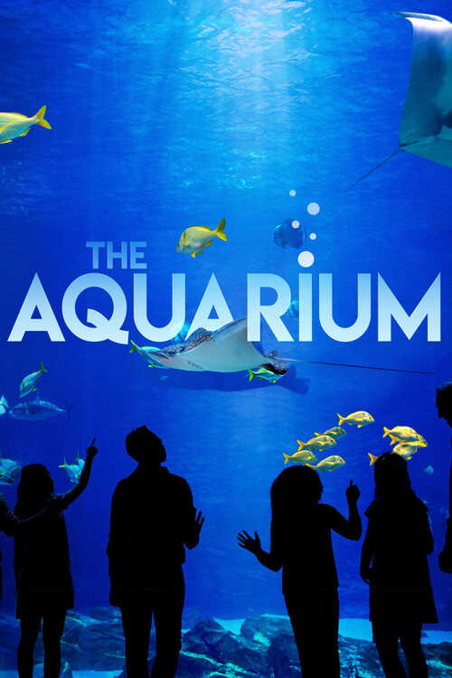 |EN| The Aquarium 8