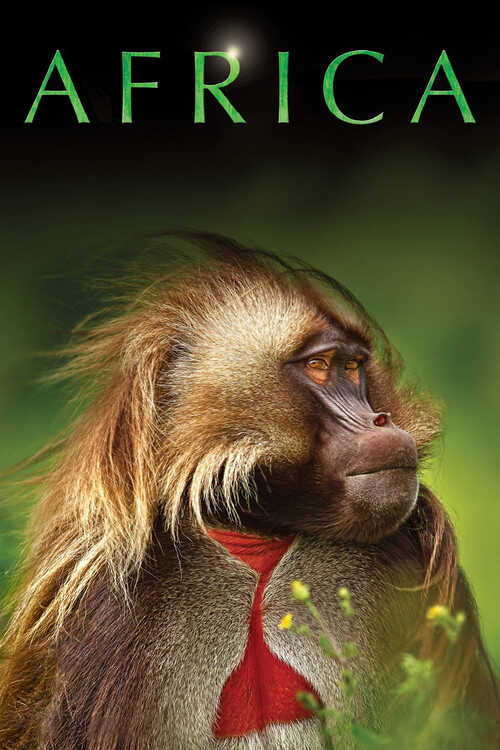 |EN| Africa 8