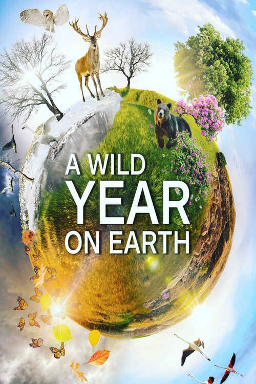 |NL| A Wild Year On Earth 8