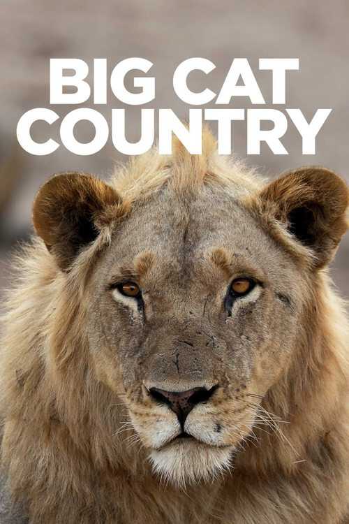 |NL| Big Cat Country 8