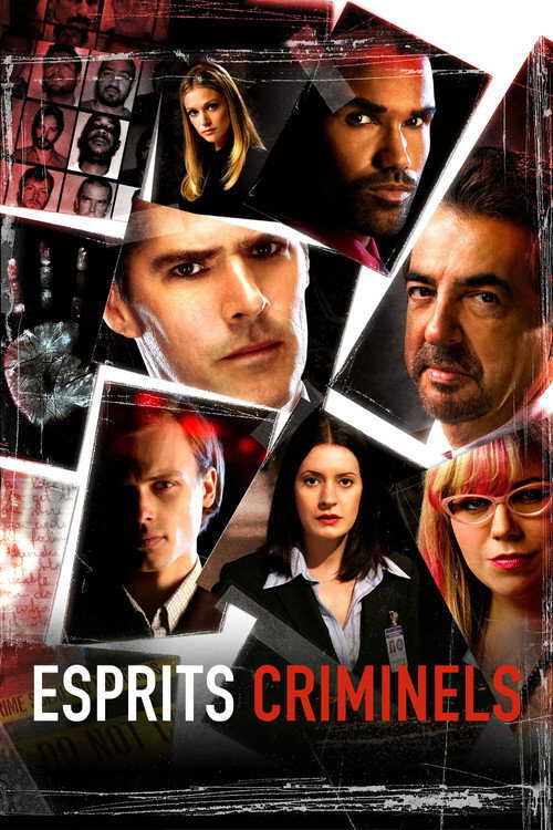 |FR| Esprits criminels 8