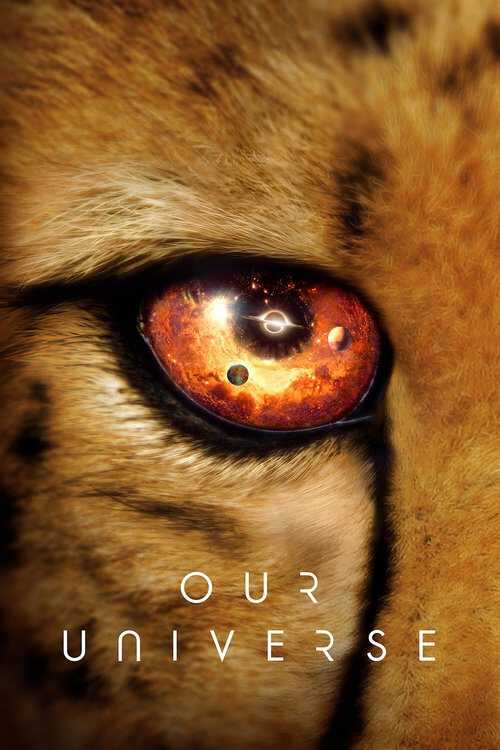 |TR| Our Universe 8