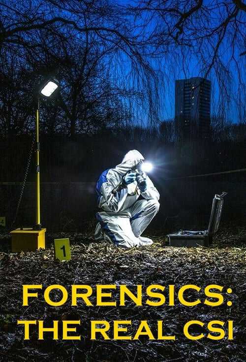 |EN| Forensics: The Real CSI 8