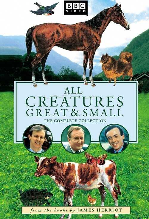 GR ▎ All Creatures Great and Small 8