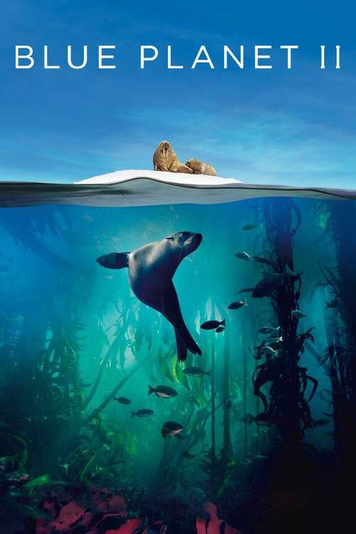 |DE| Blue Planet II 8