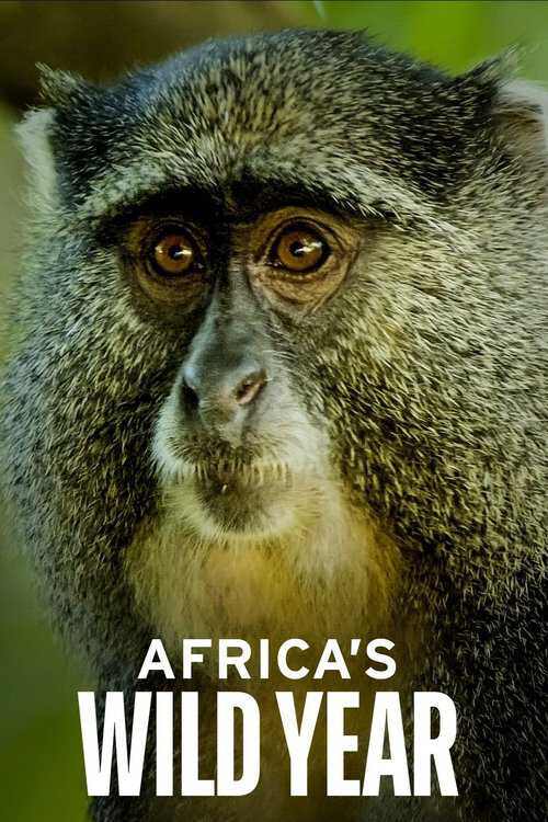 |EN| Africas Wild Year 8