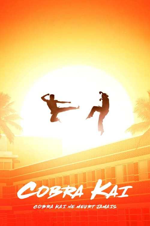 |FR| Cobra Kai 8