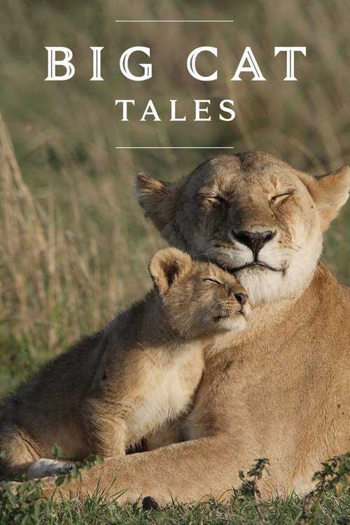 |EN| Big Cat Tales 8