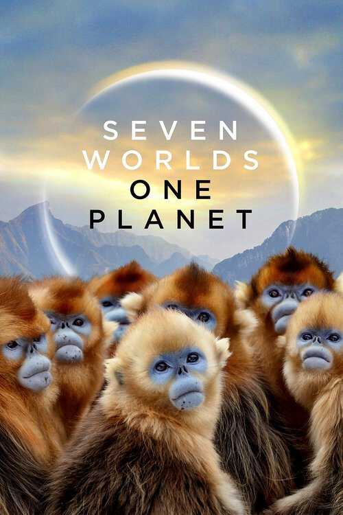 |EN| Seven Worlds, One Planet 8