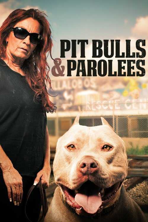 |NL| Pit Bulls and Parolees 8