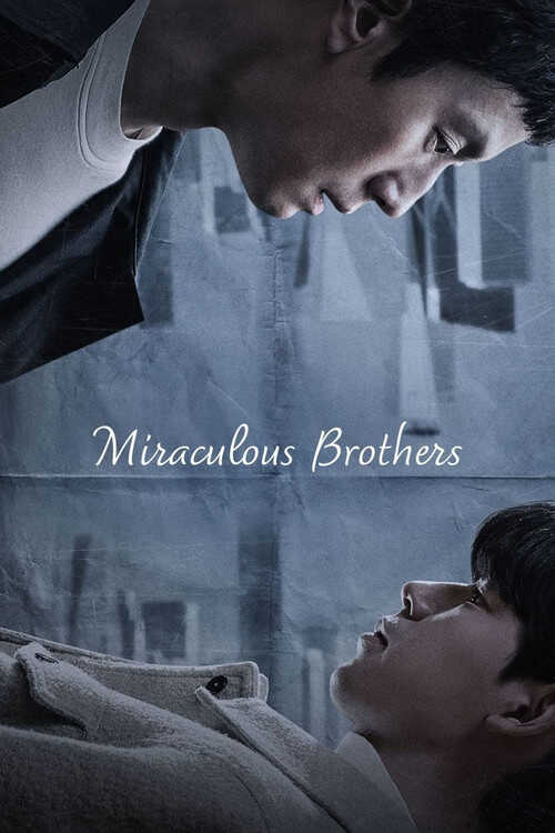|TR| Miraculous Brothers 8