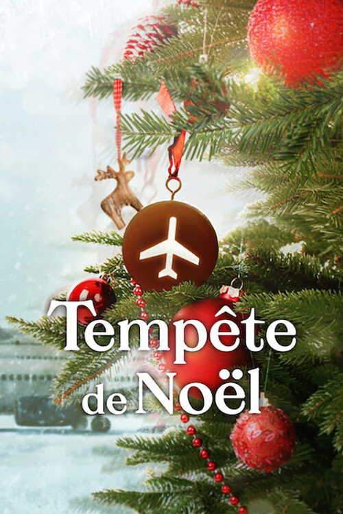 |FR| Tempête de Noël 8
