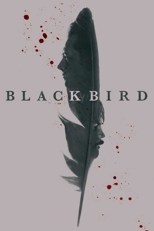 |ALB| Black Bird 8