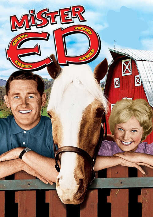 |EN| Mister Ed 8
