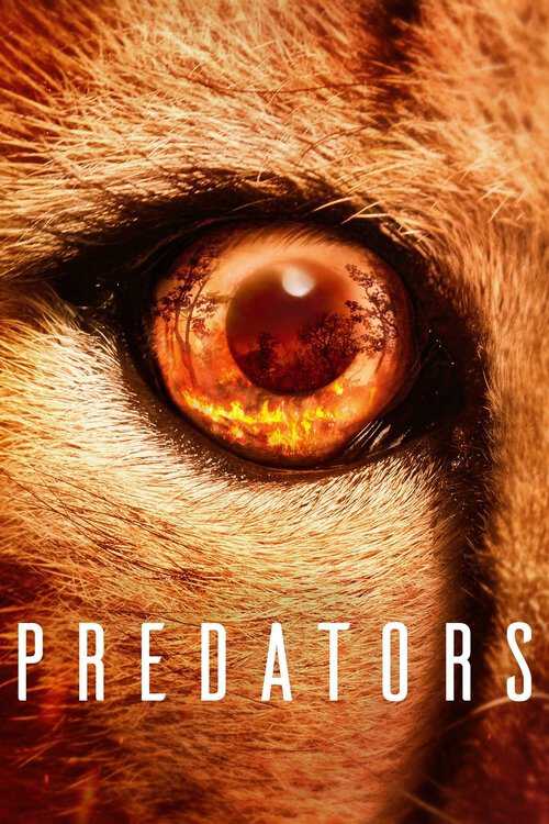 |TR| Predators 8