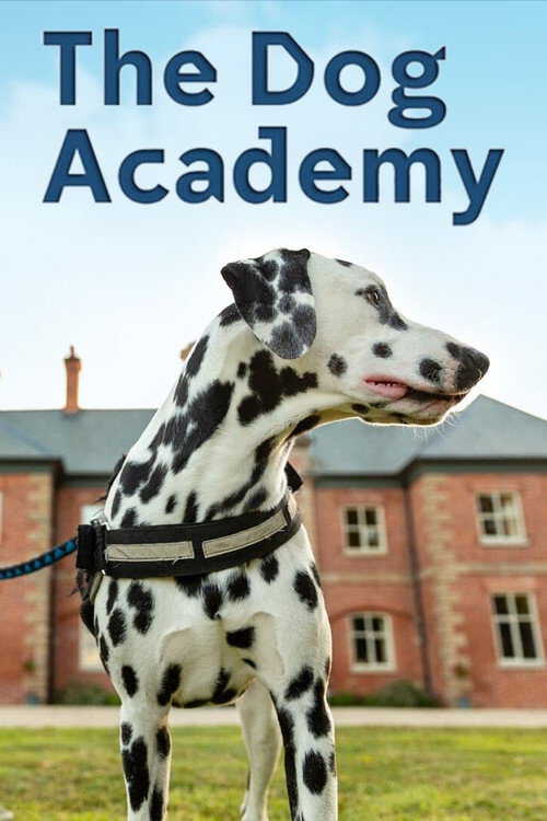 |EN| The Dog Academy 8