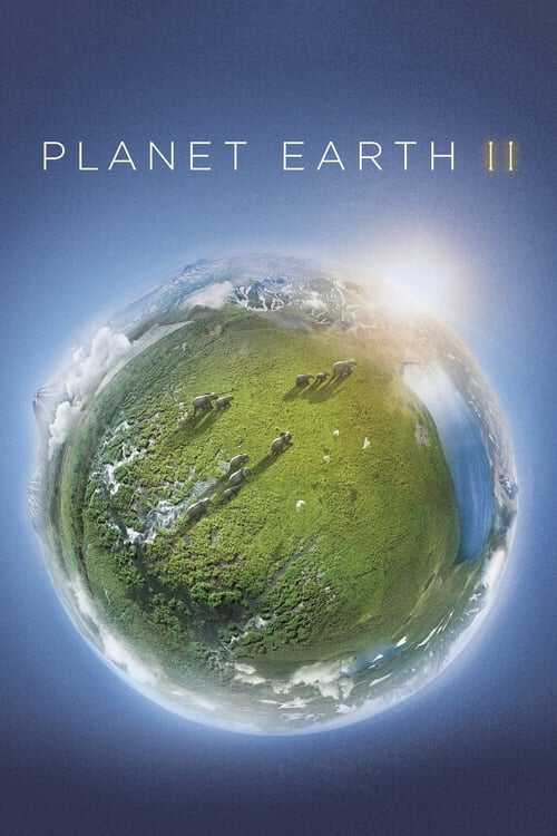 |EN| Planet Earth II 8