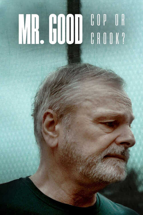 |AR| Mr. Good: Cop or Crook? 8
