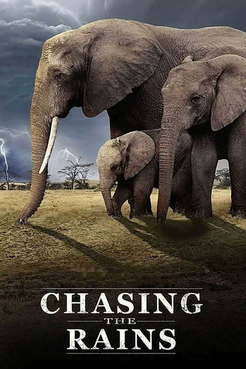 |EN| Chasing the Rains 8