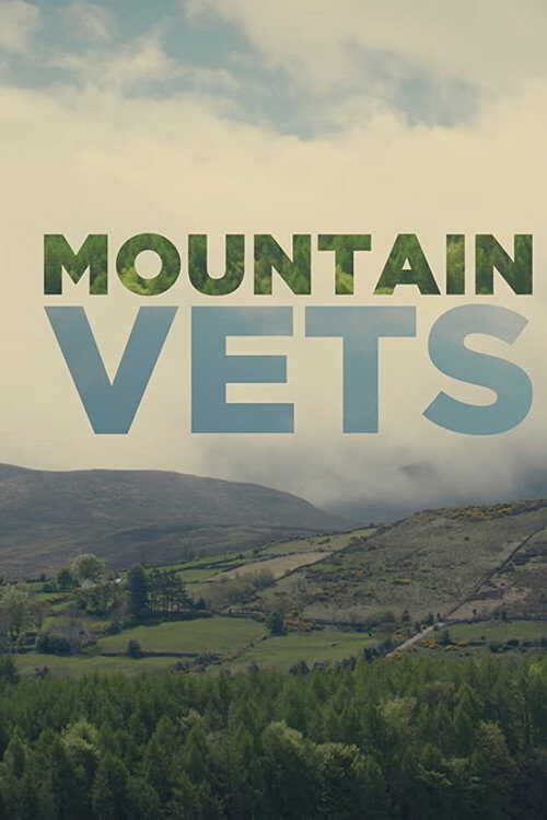 |EN| Mountain Vets 8